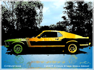 The Citrus Stang